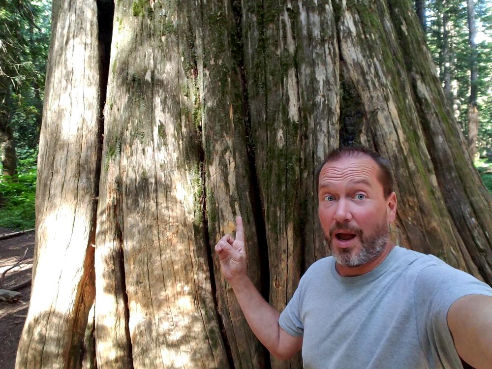 Ross Creek Giant Cedars - Montana