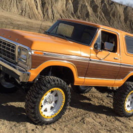 Mobsteel 1979 Ford Bronco